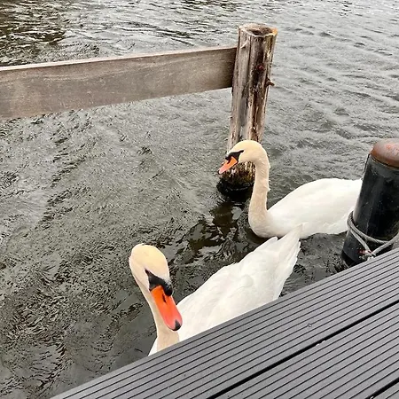 Quiet Waterloft Near Amsterdam And Schiphol Ws11 船屋